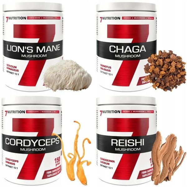 Lions mane soplówka jeżowata Chaga Cordyceps Reishi Grzyby mushroom proszek zdjęcie 1