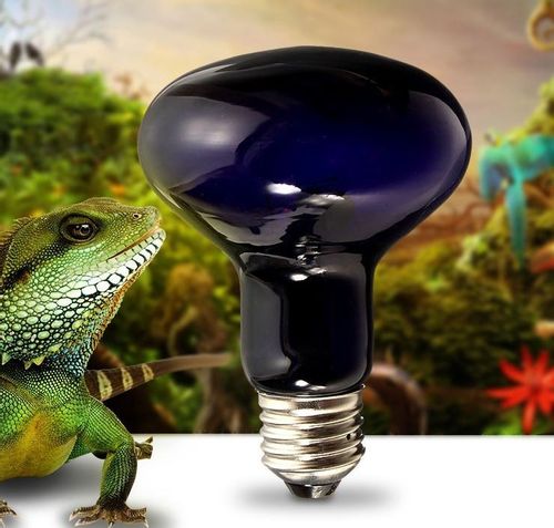 Super Reptile Black Moonlight 50W na Arena.pl