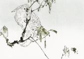 Plakat 100x70cm White Cockatoo, Seitei Japoński Vintage