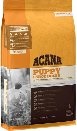 Acana Puppy Large Breed 11,4kg na Arena.pl