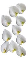 kalie wyrobowe główki 10 kwiatów białe