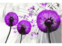 60CM 40CM OBRAZ ŚCIENNY DMUCHAWCE FIOLECIE DRUK PŁÓTNO RAMA