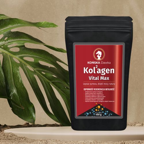 Kolagen Rybi z Colostrum Vital MAX- Kolagen Końska Dawka w Proszku 450g na Arena.pl