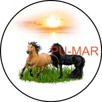 Opłatek na tort KONIE Koń Mustang Konik Kuc Urodziny Tekst Gratis