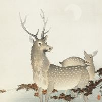 Plakat 60x60cm Couple of Deers, Koson Japoński Vintage do Salonu