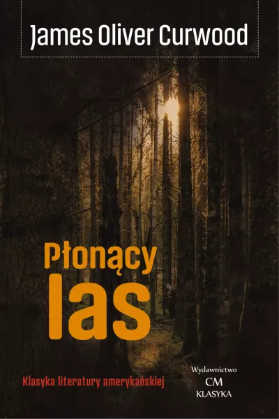 Płonący las zdjęcie 1