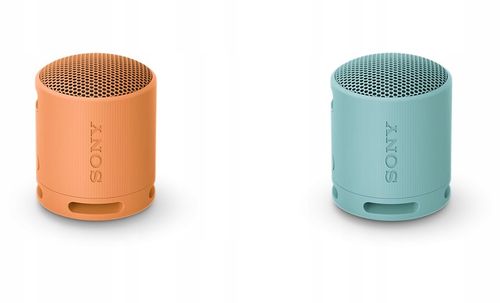 Głośnik przenośny bluetooth Sony SRS-XB100H Szary na Arena.pl