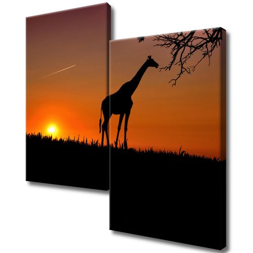 Obraz Płótno 60X60 Młoda Żyrafa na Arena.pl