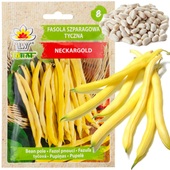 FASOLA SZPARAGOWA TYCZNA ŻÓŁTA 10G NECKARGOLD NASIONA FASOLI ŻÓŁTEJ ODPORNA