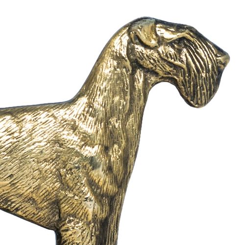 Airedale Terrier - tabliczka - 1706 na Arena.pl
