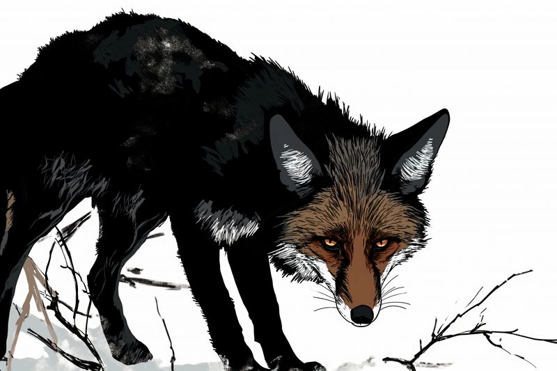 Plakat 30x20cm Nieufny Lis zdjęcie 1