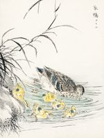 Plakat 60x80cm Duck, Kashu Japoński Vintage do Salonu