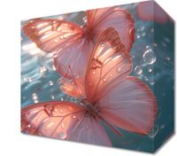 product-compare-59505028