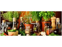 100X40CM ZEGAR PRZYPRAWY ZIOŁOWE OBRAZ