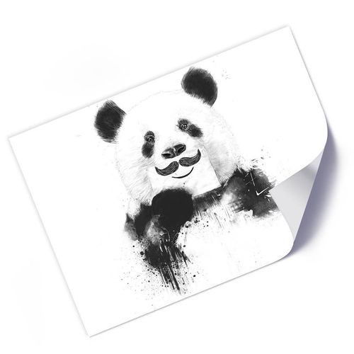 Plakat, Panda z wąsem 60x40 na Arena.pl