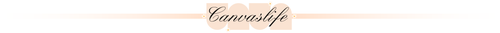 canvaslife briefcase laptop 15-16 white rose na Arena.pl