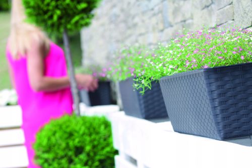 Skrzynka balkonowa Ratolla z podstawką ISR400P | Antracyt na Arena.pl