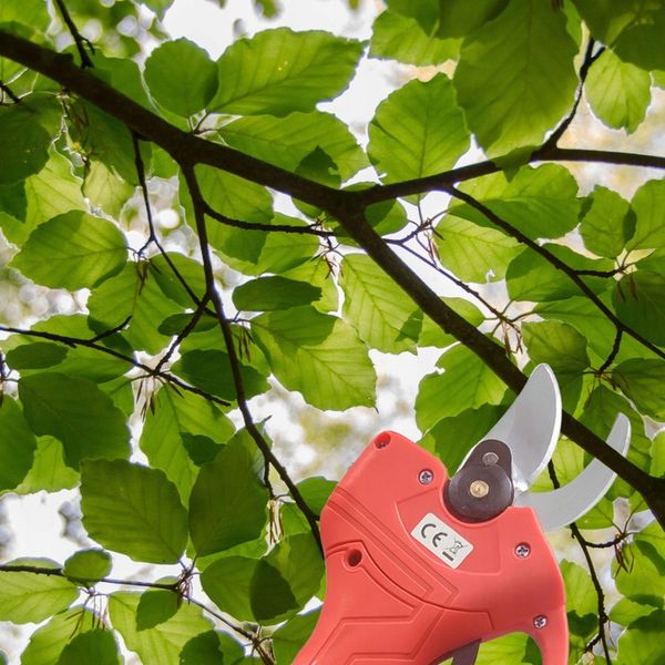 SEKATOR AKUMULATOROWY Ogrodowy Elektryczny Nożyce do Gałęzi Li-Ion 48V zdjęcie 12