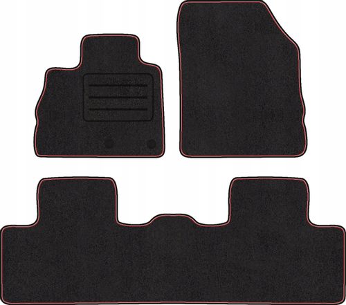 DYWANIKI DO RENAULT SCENIC IV NA WYMIAR POL na Arena.pl