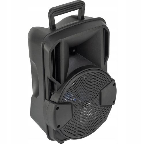 KOLUMNA ESTRADOWA PRZENOŚNA 300 W BLUETOOTH STATYW na Arena.pl