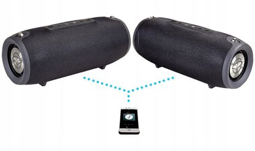 Głośnik Bluetooth MANTA SPK15GO-BK na Arena.pl