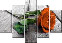 product-compare-58696079