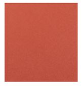 Karton Colorline 50x65 150g (10) 84-Koralowy