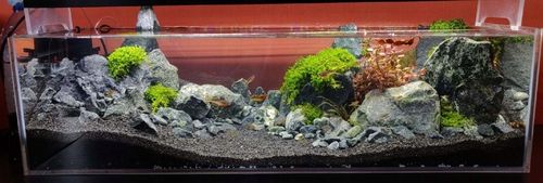 ŻWIREK CZARNY 1-3 mm PODŁOŻE DO AKWARIUM 25kg na Arena.pl