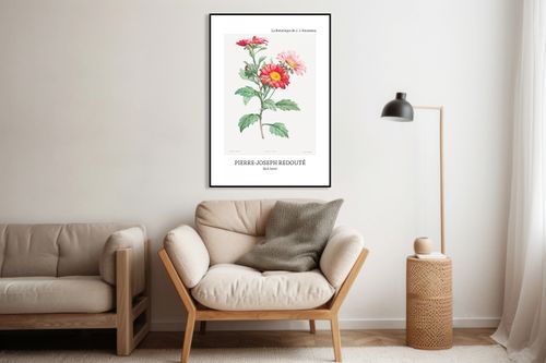 Plakat 40x60cm Design Red Aster, Redoute Vintage do Salonu na Arena.pl