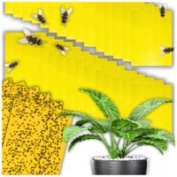 60x LEP DO DONICZEK SZKLARNI NA MSZYCE ZIEMIÓRKI MUSZKI MRÓWKI OWADY ZESTAW