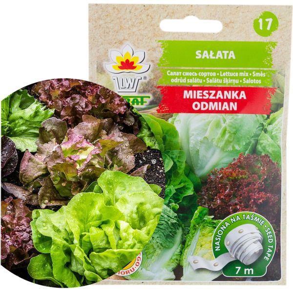Sałata Mix Odmian Taśma 7M zdjęcie 1