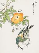Plakat 30x40cm Grey Starling, Kashu Japoński Vintage do Salonu