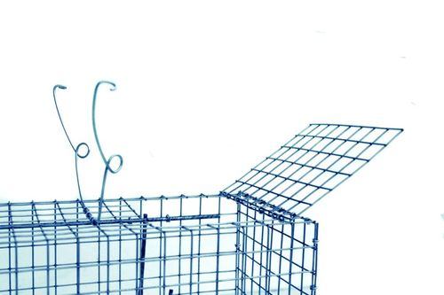 żywołapka pułapka na koty kuny bardzo szybka na Arena.pl