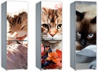 Mata magnetyczna magnes ozdobny tapeta na lodówkę KOTY KOTKI 210x61 cm