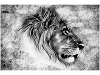 product-compare-58694336