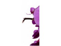 40X100CM FIOLETOWY STORCZYK OBRAZ PION