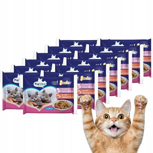 KARMA MOKRA DLA KOTA PREVITAL JUNIOR 52 X 100G SASZETKI DLA KOCIĄT MIX na Arena.pl