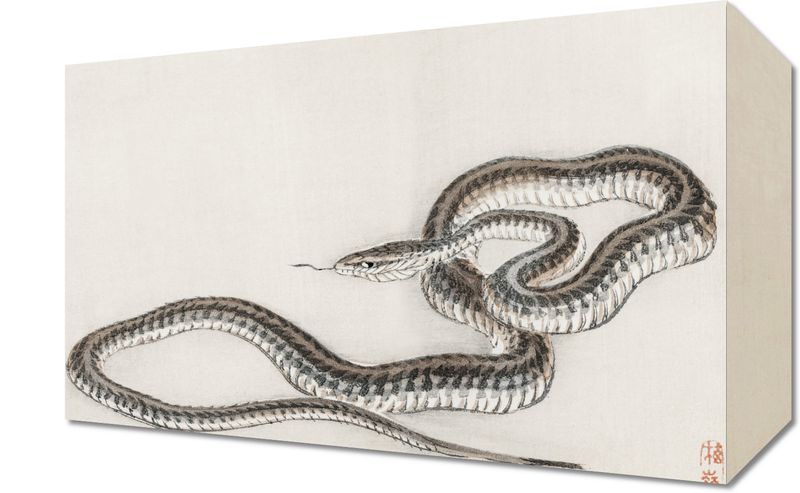 Obraz 30x20cm Snake, Kōno Bairei zdjęcie 1