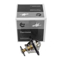 Termostat CHEVROLET CAPTIVA 2011 2012 2013 2014 2015 2016 2017 2018
