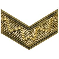 Odznaka metalowa CZ/SK, złota,  Akademia Wojskowa Typ I