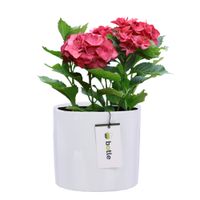 Doniczka osłonka ceramiczna Ø 13,5cm H 12,5cm kolor Biały połysk