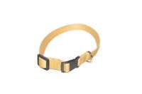 A-004 OBROŻA DLA PSA TAŚMA 20mm/26-44cm Kolor - Złoty