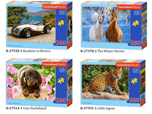 Castorland piękne Puzzle 260 elem. CLASSIC CA0009 na Arena.pl