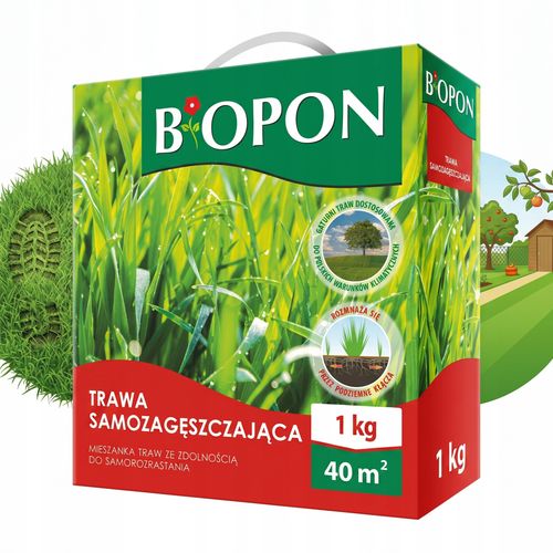 BOPON - Trawa Samozagęszczająca 40 m² - 1 kg na Arena.pl