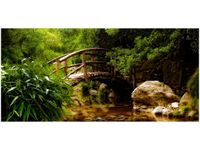 product-compare-58681430