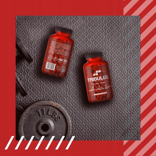 TRIBULUS TESTOSTERON TERRESTRIS BUZDYGANEK TESTO LIBIDO 100 MUSCLE POWER na Arena.pl