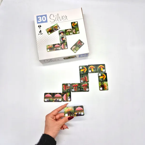 Gra planszowa Alexander Domino Grzyby zdjęcie 3