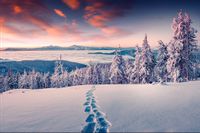 Fototapeta Las Zimą GÓRY Natura do Sypialni 400x280