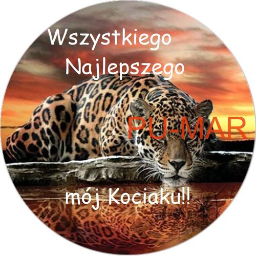 Opłatek na tort Lew Król Zwierząt Kot Kocur Kotek Gepard Puma Tygrys na Arena.pl