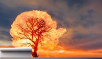 Fototapeta PŁONĄCE DRZEWO ZACHÓD SŁOŃCA 130x80